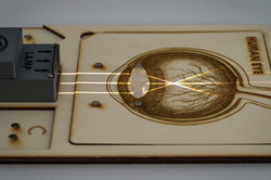 Lab Light Board - Strahlengang durch Linse im Auge