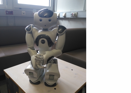 NAO - Humanider Roboter